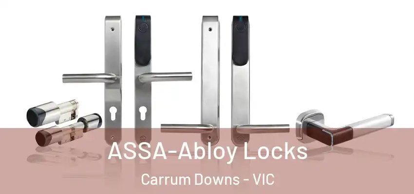 ASSA-Abloy Locks Carrum Downs - VIC