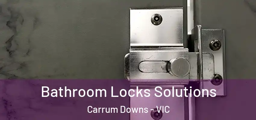 Bathroom Locks Solutions Carrum Downs - VIC