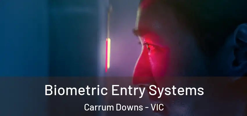 Biometric Entry Systems Carrum Downs - VIC