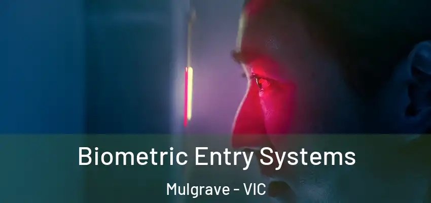 Biometric Entry Systems Mulgrave - VIC