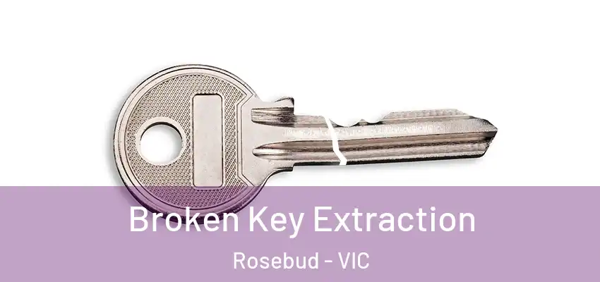 Broken Key Extraction Rosebud - VIC