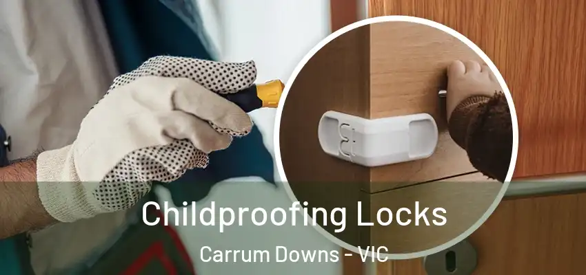 Childproofing Locks Carrum Downs - VIC