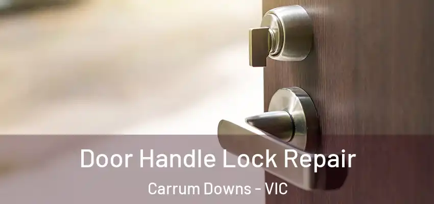Door Handle Lock Repair Carrum Downs - VIC