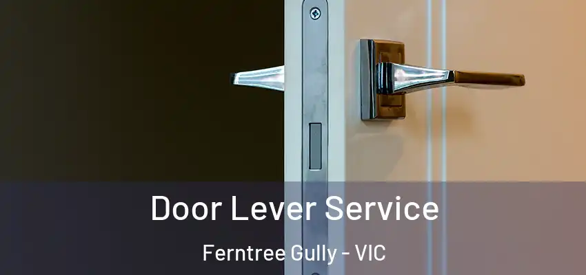 Door Lever Service Ferntree Gully - VIC