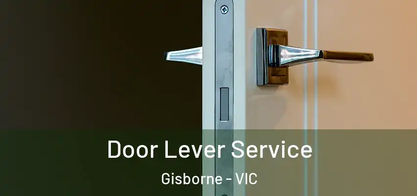 Door Lever Service Gisborne - VIC
