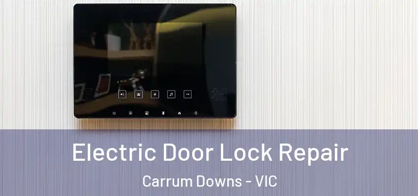 Electric Door Lock Repair Carrum Downs - VIC