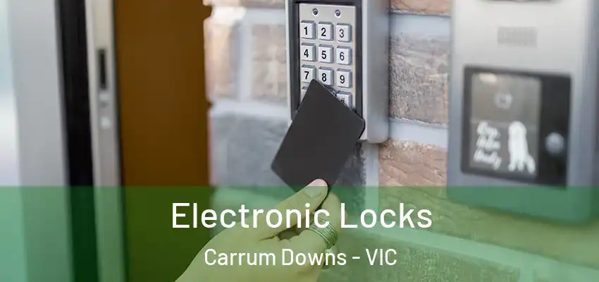 Electronic Locks Carrum Downs - VIC