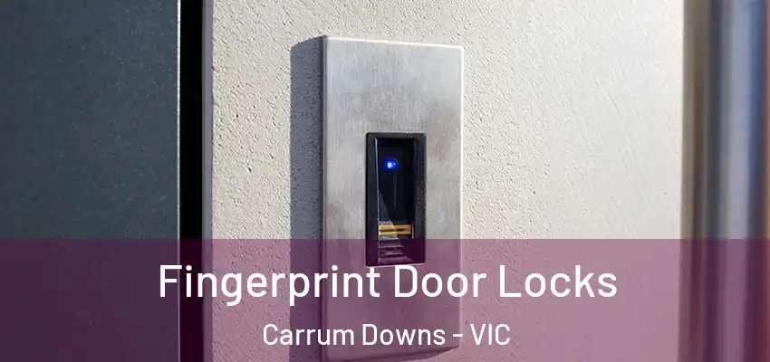 Fingerprint Door Locks Carrum Downs - VIC