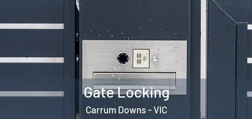 Gate Locking Carrum Downs - VIC
