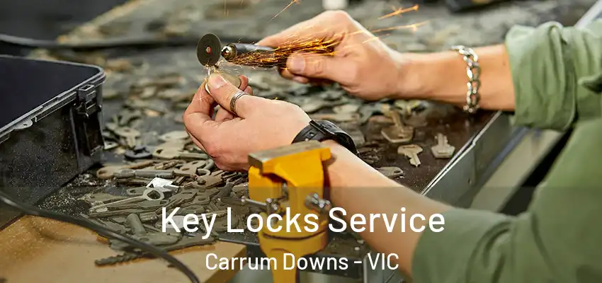 Key Locks Service Carrum Downs - VIC