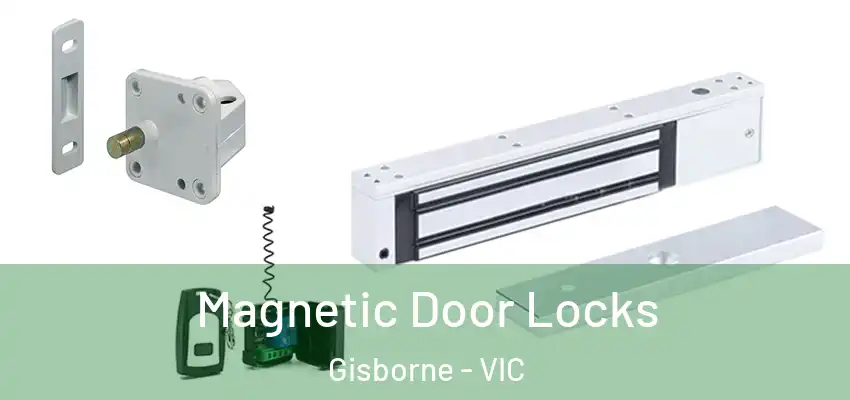 Magnetic Door Locks Gisborne - VIC
