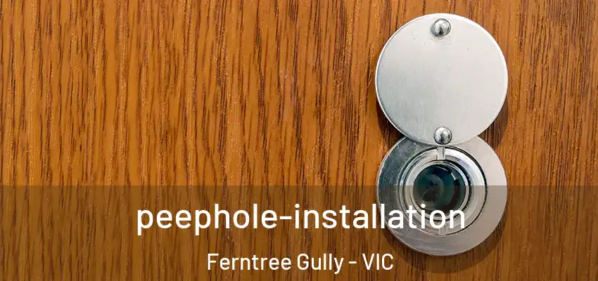 peephole-installation Ferntree Gully - VIC