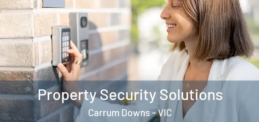Property Security Solutions Carrum Downs - VIC