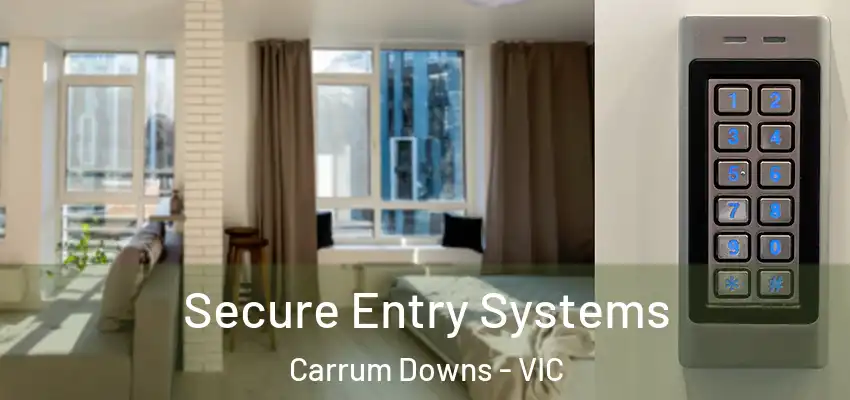 Secure Entry Systems Carrum Downs - VIC