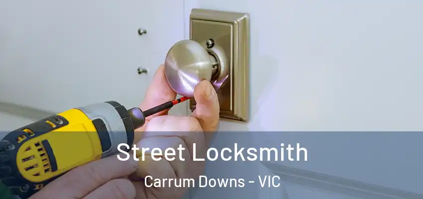 Street Locksmith Carrum Downs - VIC