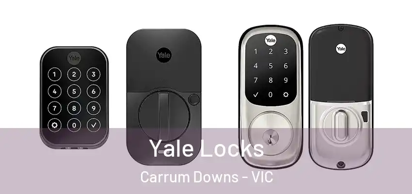 Yale Locks Carrum Downs - VIC
